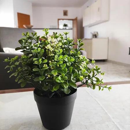 Varnica Guest house Kastel Luksic